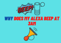 Why Does My Alexa Beep at 3am