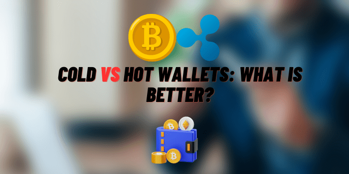 cold vs hot wallets