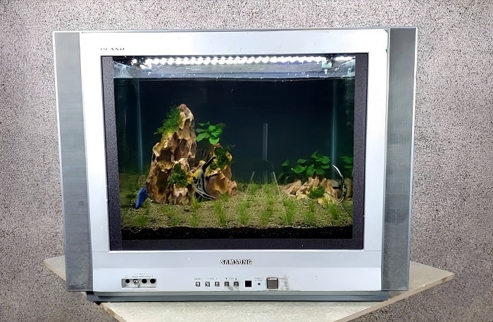 how do you set up a tv fish tank