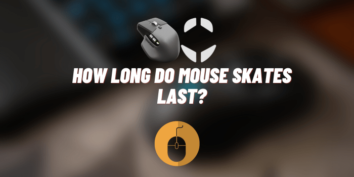 How Long Do Mouse Skates Last?