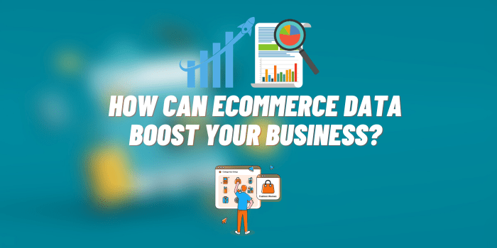 how can ecommerce data boost your business