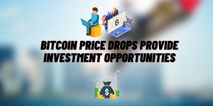 Bitcoin Price Drops Provide Investment Opportunities