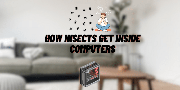 how insects get inside computers