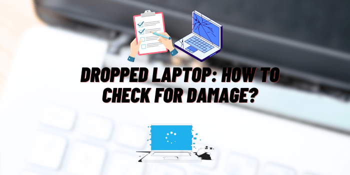 dropped laptop how to check for damage