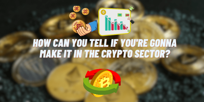 How Can You Tell if You’re Gonna Make it in The Crypto Sector?