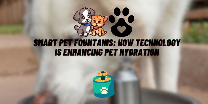 Smart Pet Fountains